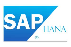 Portfolio for SAP HANA Consulting & Support